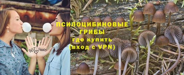 дживик Балабаново