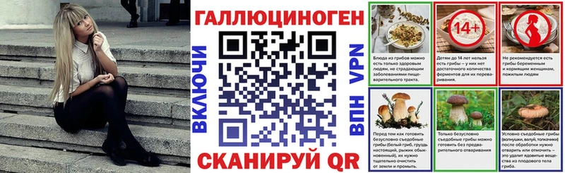 Псилоцибиновые грибы GOLDEN TEACHER  Тында 